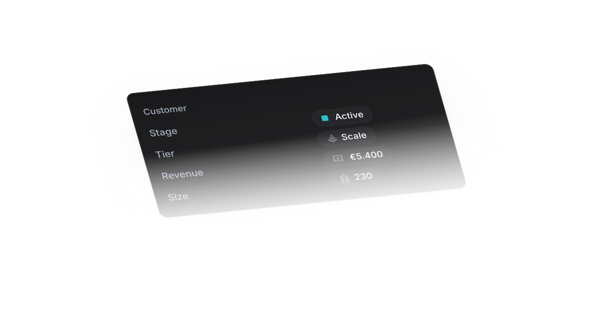 Customer details card showing status, plan, revenue and size